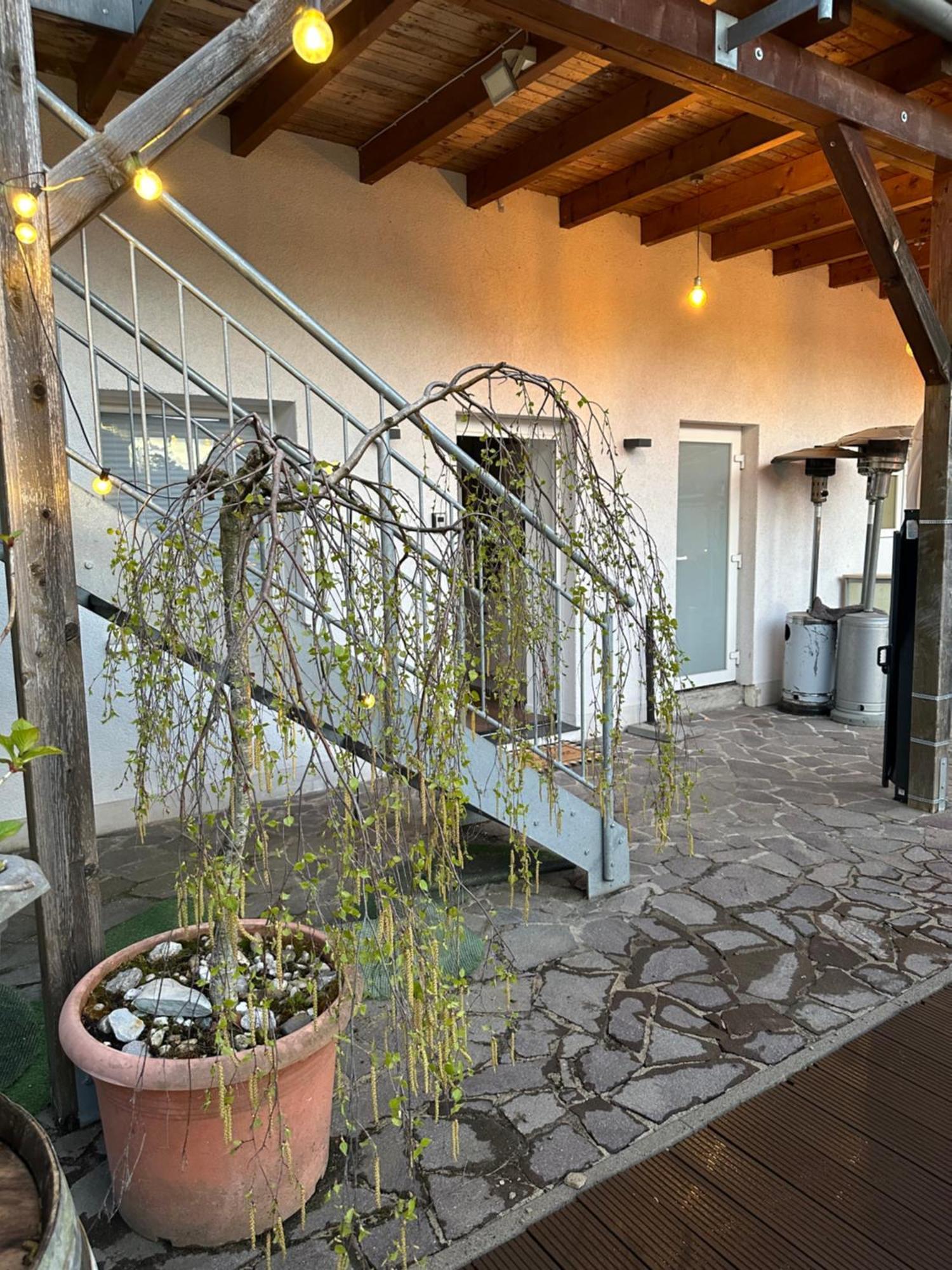 Apartment Mola Apartments-apartment Im Herdecker Zentrum Fuer 3 Gaeste-gratis Parkplatz-highspeed Wlan-auch Fuer Langzeit Geeignet